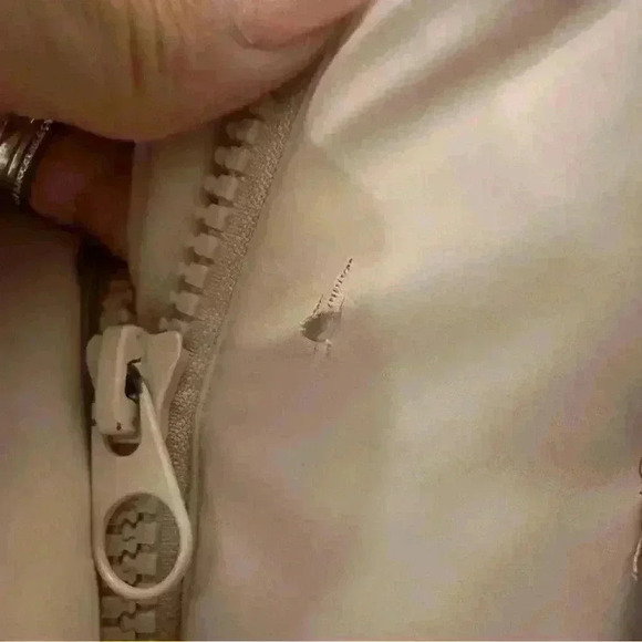 Pull & Bear Pink Puffer Jacket with Hood, Size Small, Cozy and Warm - Picture 6 of 9